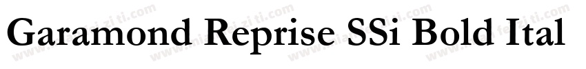 Garamond Reprise SSi Bold Italic字体转换